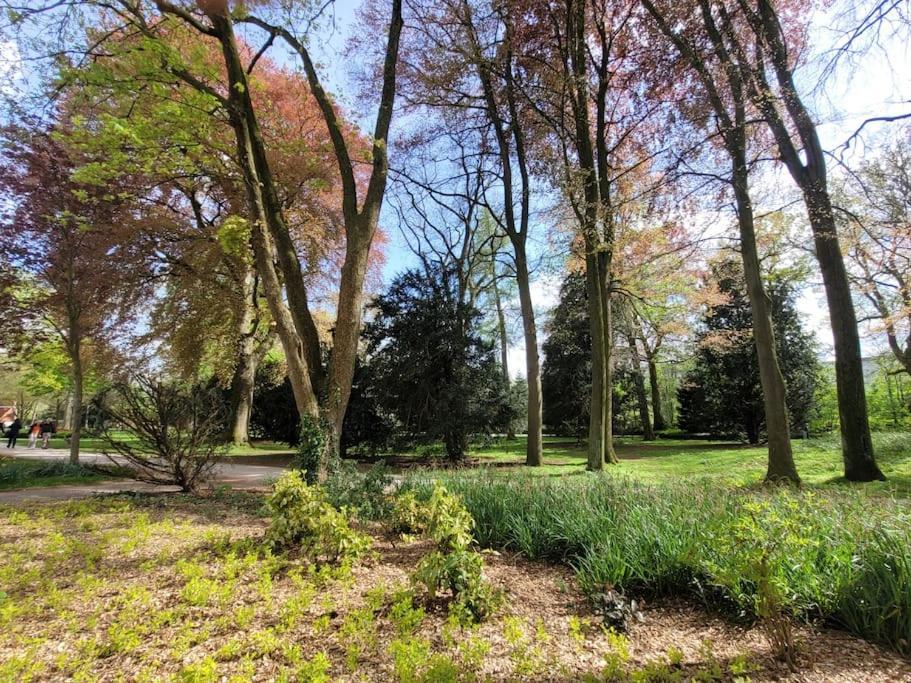 Mit Blick In Den Emsseepark 워렌도르프 외부 사진